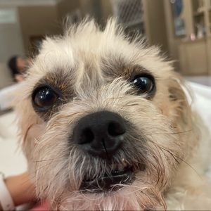 Meet your Posher, Hayley